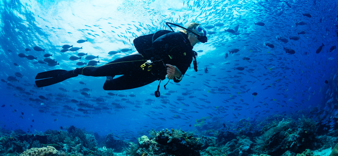 A SCUBA diver swims through open water.